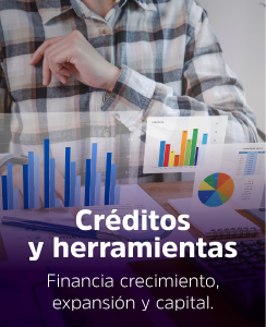 Créditos y herramientas