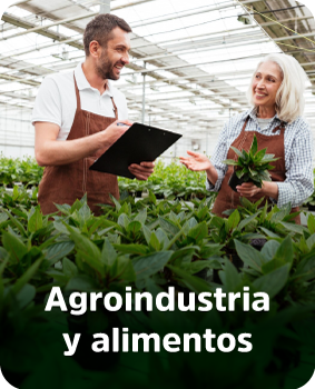 Agroalimentos y plazas de mercado