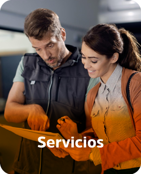 Servicios
