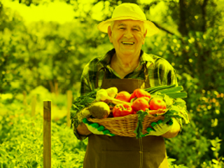 Agricultura y alimentos