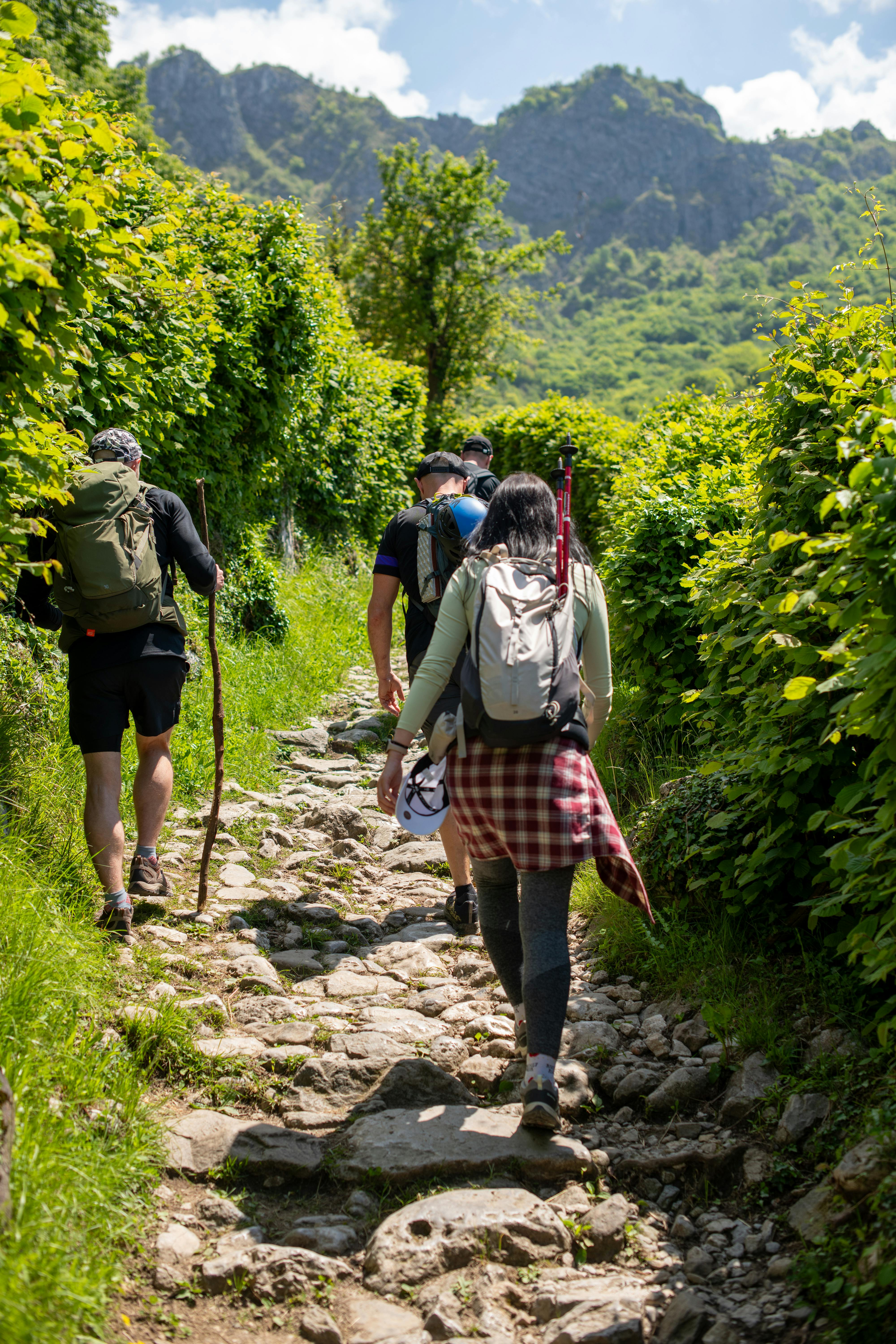 Senderismo Guiado “Rutas de la Montaña Viva”