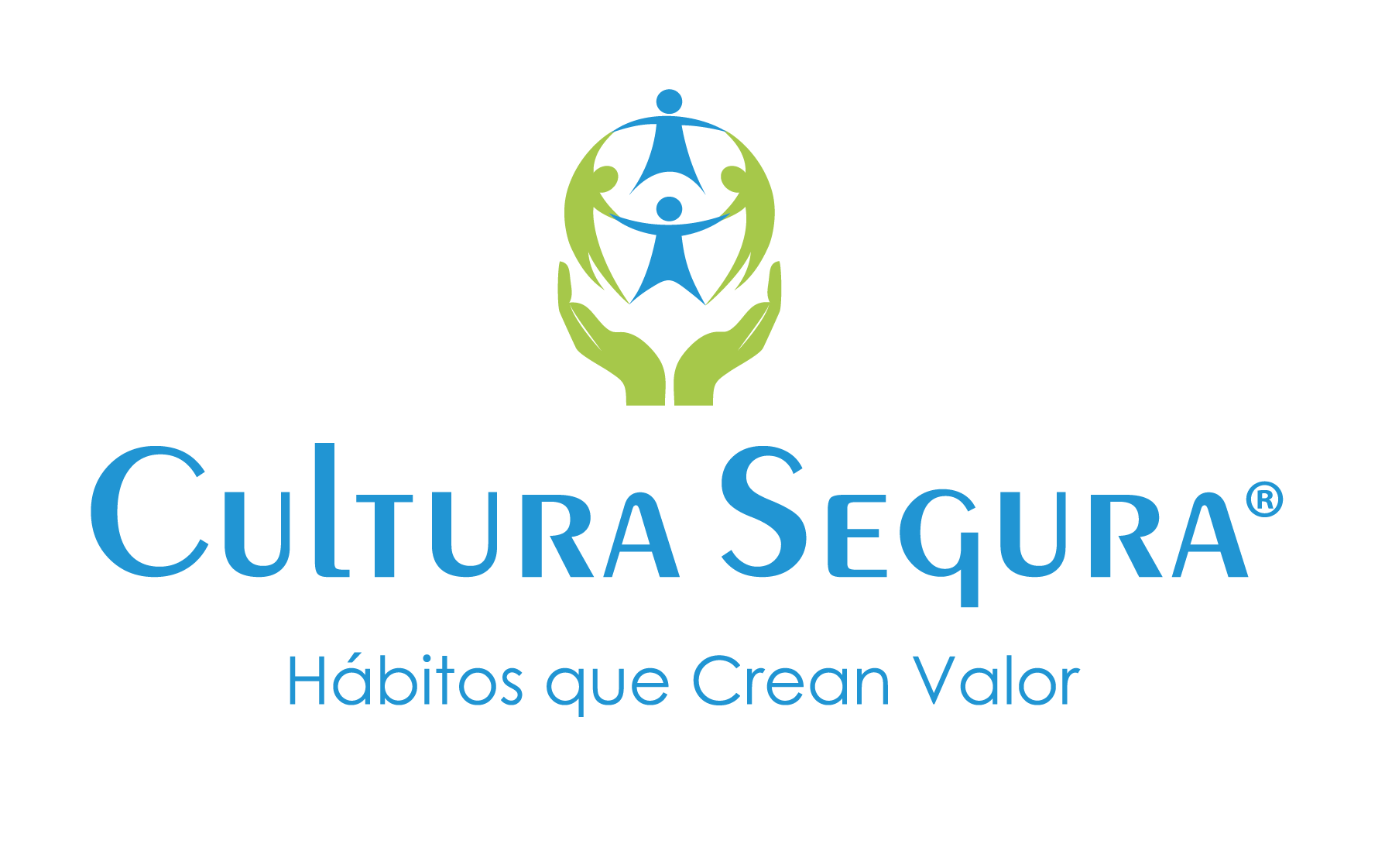 CULTURA SEGURA SAS
