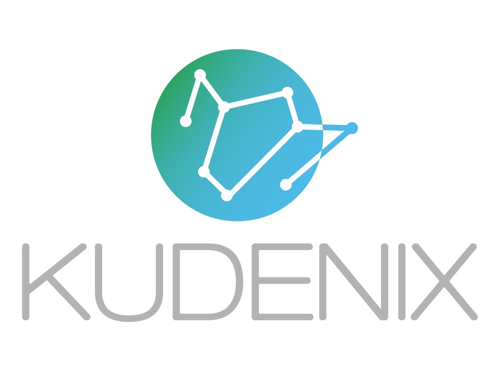 Logo KUDENIX S.A.S